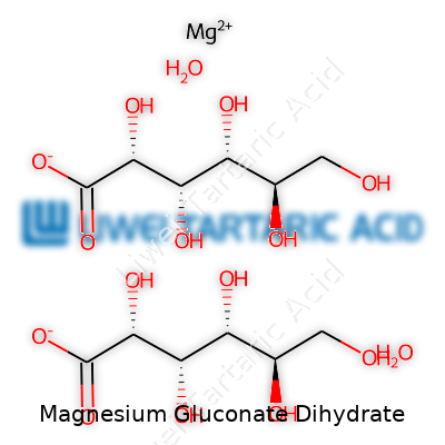 Magnesium Gluconate Dihydrate
