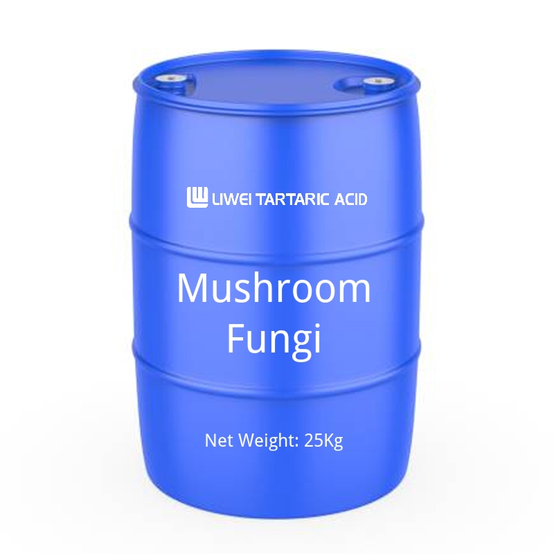 Mushroom Fungi-cas-N